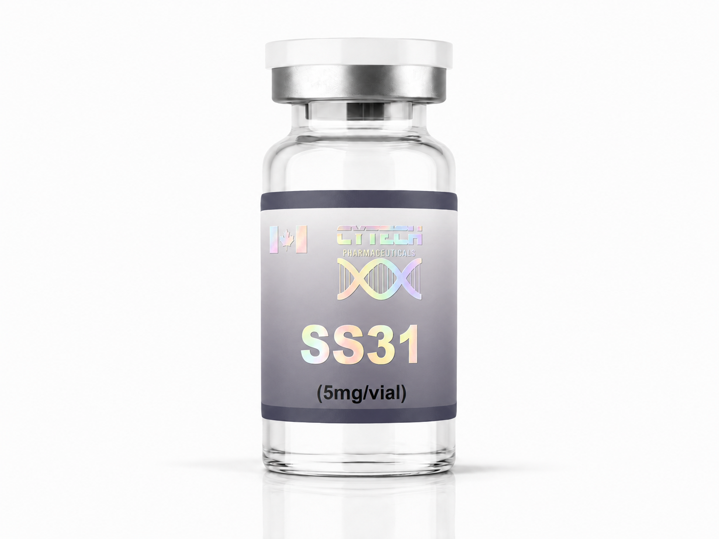 SS31